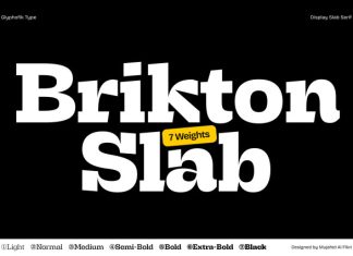 Brikton – Unique Slab Serif Font preview image 1