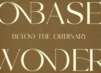 Bronde |Elegant Serif Typeface Font preview image 3