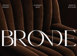 Bronde |Elegant Serif Typeface Font preview image 1