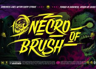 Brutal Rioter Typeface Font preview image 2