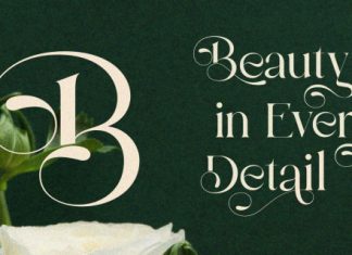 Bulgash Font preview image 2
