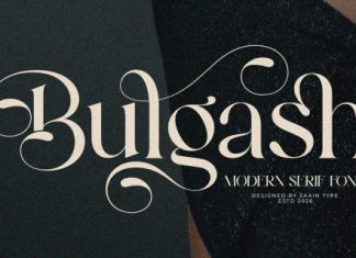Bulgash Font preview image 1