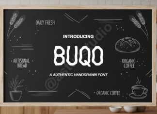 Buqo — Modern Luxury Serif Font preview image 1