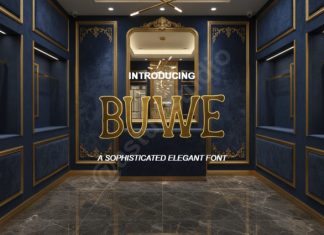 Buwe – Elegant Display Serif Font preview image 1
