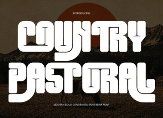 COUNTRY PASTORAL FONT preview image 1