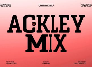 CS Ackley Mix Font preview image 1