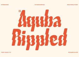 CS Aquba Rippled Font preview image 1