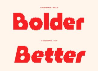 CS Bard Semipixel Font preview image 2