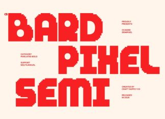 CS Bard Semipixel Font preview image 1