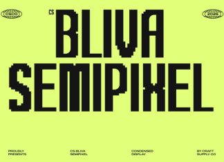 CS Bliva Semipixel Font preview image 1