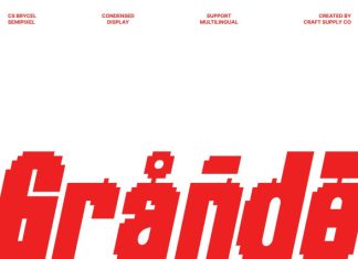 CS Brycel Semipixel Font preview image 3