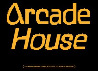 CS Carvile Semipixel Font preview image 2
