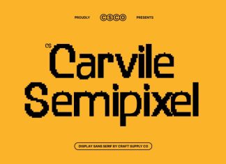 CS Carvile Semipixel Font preview image 1