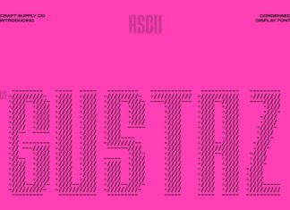 CS Gustaz Ascii Font preview image 1