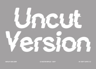CS Nestor Rippled Font preview image 3