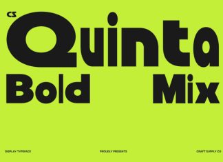 CS Quinta Mix Font preview image 1