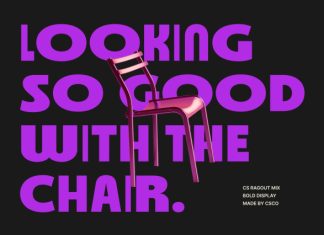 CS Ragout Mix Font preview image 2