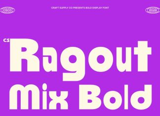 CS Ragout Mix Font preview image 1