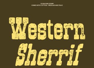 CS Ralphie Stamp Font preview image 3