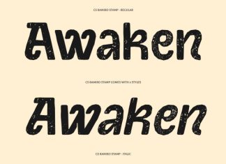 CS Ramiro Stamp Font preview image 2
