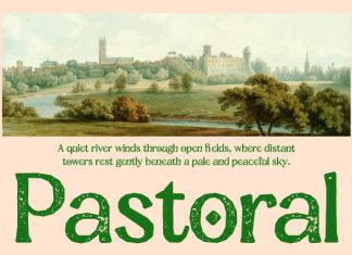 CS Ravella Stamp Font preview image 2