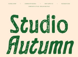 CS Razel Stamp Font preview image 2