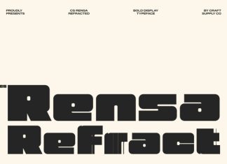 CS Rensa Refracted Font preview image 1