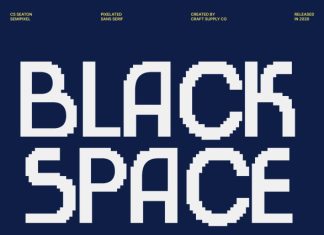 CS Seaton Semipixel Font preview image 2