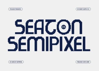 CS Seaton Semipixel Font preview image 1