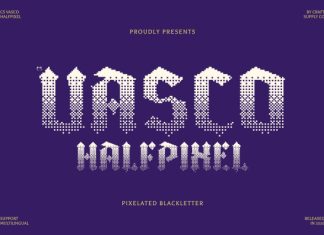 CS Vasco Halfpixel Font preview image 1