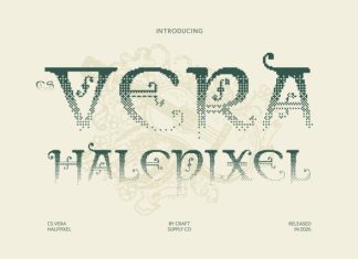 CS Vera Halfpixel Font preview image 1