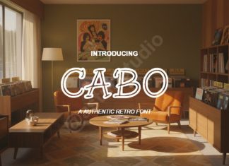 Cabo Modern Luxury Branding Serif Font preview image 1