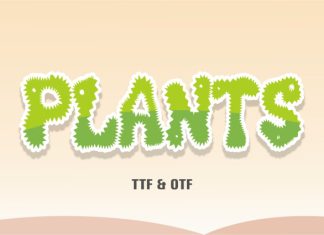Cactus Font preview image 3