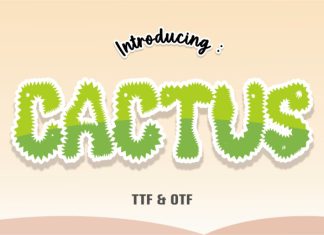 Cactus Font preview image 1