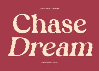 Calive Distort Font preview image 3