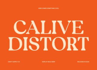 Calive Distort Font preview image 1