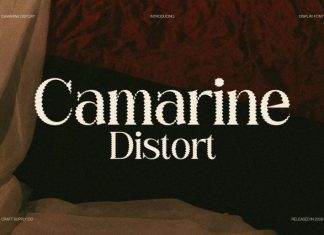 Camarine Distort Font preview image 1
