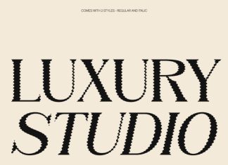 Camarine Distort Font preview image 2