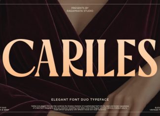 Cariles – Duo Font Sans and Serif preview image 1