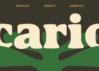 Cario Font preview image 1