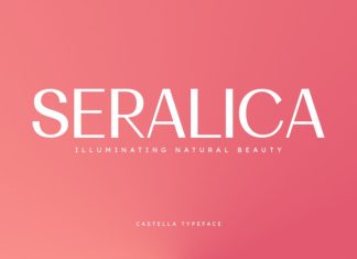Castella – Modern Sans Serif Font preview image 3