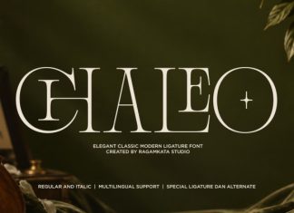 Chaleo – Stylish Ligature Serif Font preview image 1