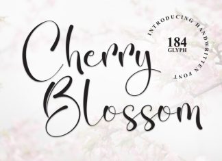 Cherry Blossom Font preview image 1