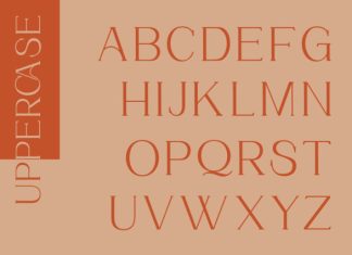 Chrysalara Serif Typeface Font preview image 2