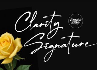 Clarity Signature – Handwritten Font preview image 1