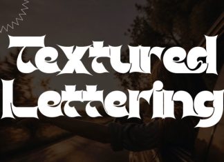 Classical Records – Bold Serif Font preview image 3