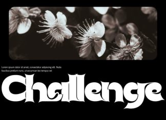 Classical Records – Bold Serif Font preview image 2