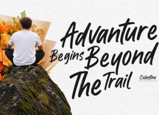 Colastine – Handwritten font preview image 3