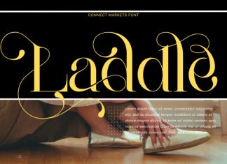 Connect Markets – Modern Serif Font preview image 2