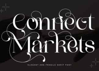 Connect Markets – Modern Serif Font preview image 1